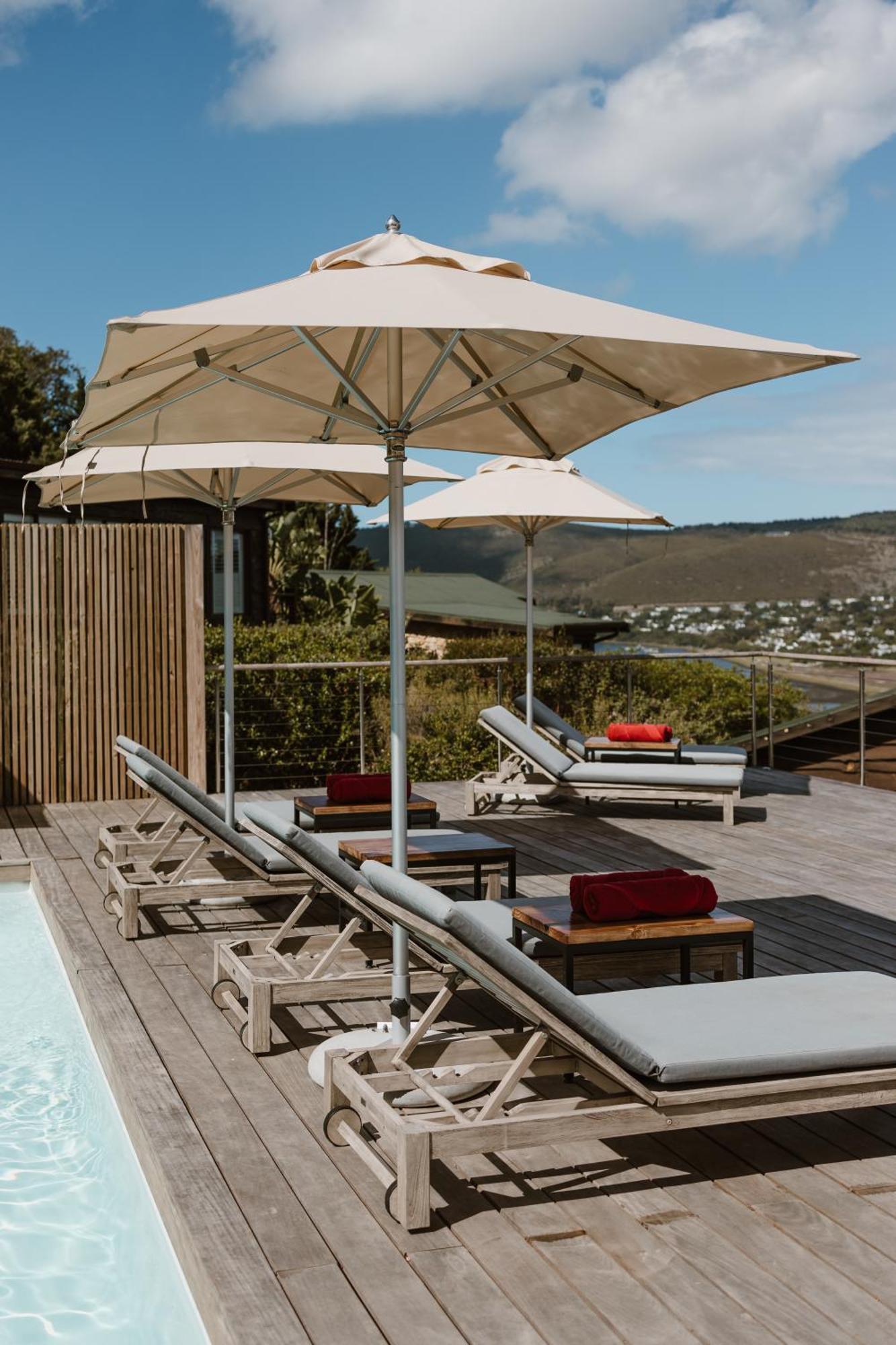 Elephant Hide Of Knysna Guest Lodge Exteriör bild