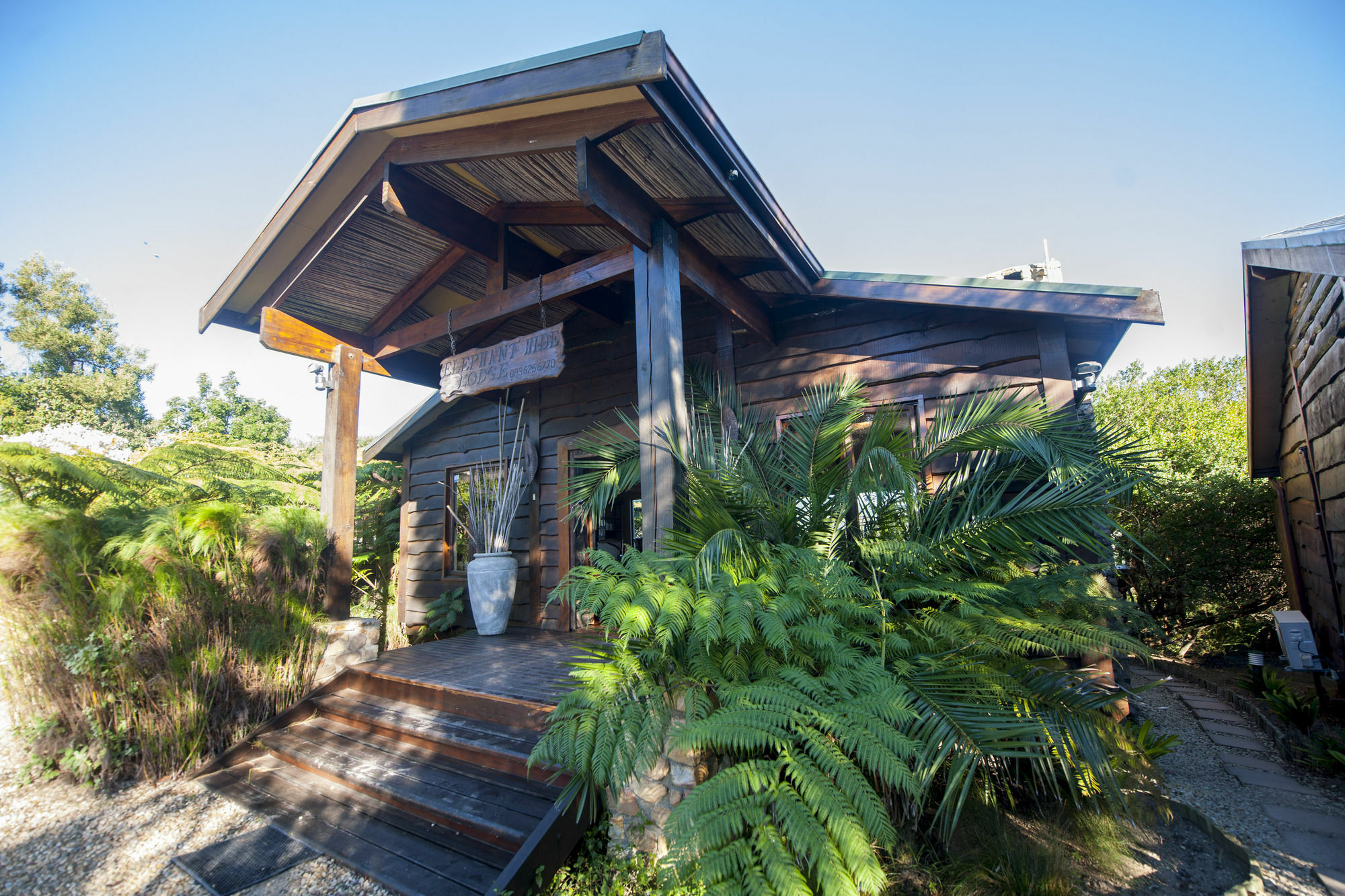 Elephant Hide Of Knysna Guest Lodge Exteriör bild