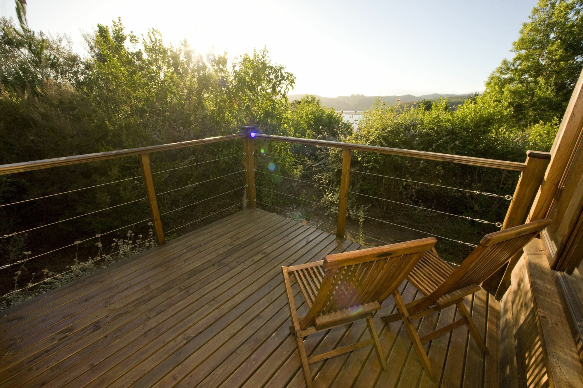 Elephant Hide Of Knysna Guest Lodge Exteriör bild
